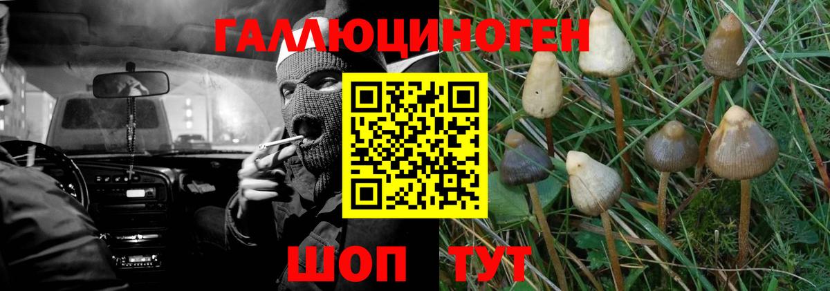Псилоцибиновые грибы MAGIC MUSHROOMS  Вход с VPN  Чусовой 