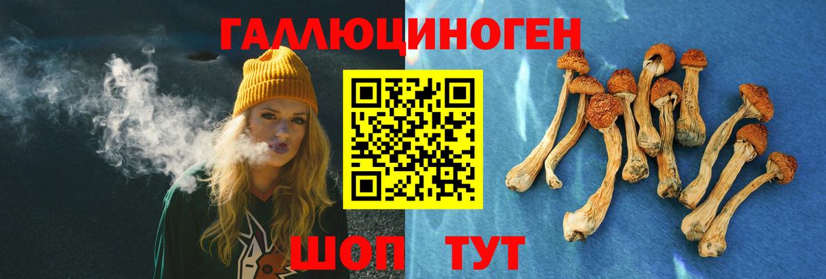 Галлюциногенные грибы Cubensis Чусовой